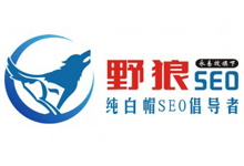 关于博主，付费为您解决伪静态问题